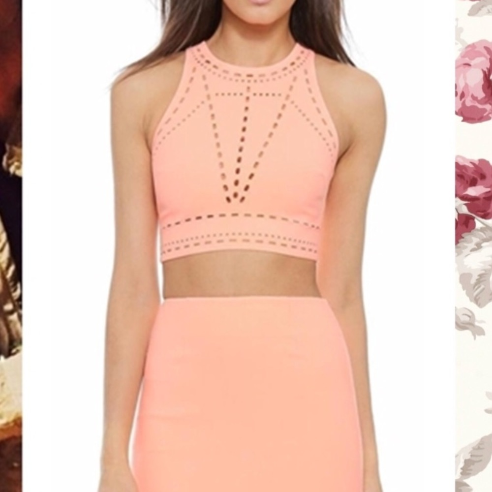 Elizabeth and James size sm pink eyelet crop top